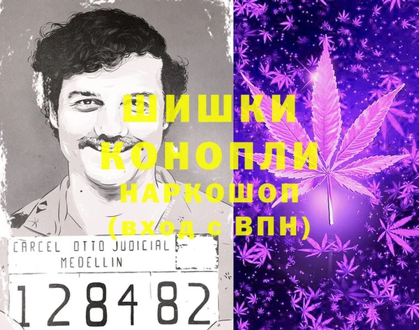 дурь Горняк