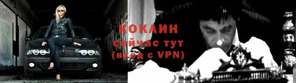 дурь Горняк