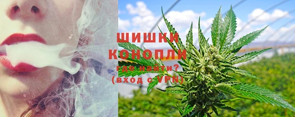 дурь Горняк