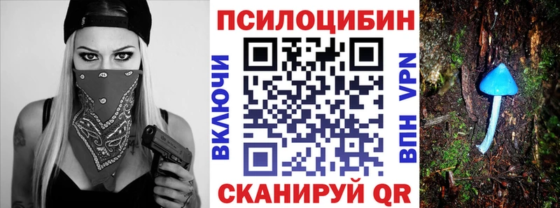 купить наркоту  Новоалтайск  Псилоцибиновые грибы мухоморы 
